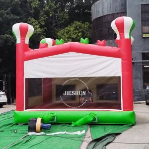 Inflatable bounce house (10)