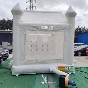 Inflatable bounce house (5)