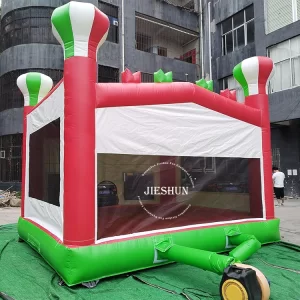 Inflatable bounce house (6)