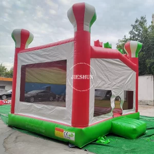 Inflatable bounce house (9)